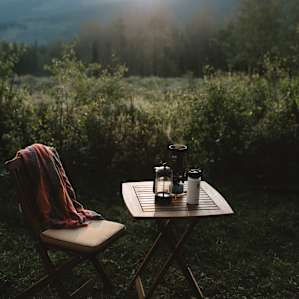forest mountain sun