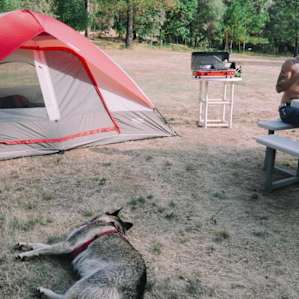 One of the hosts' dogs joining us in the morning. The picnic table was provided.