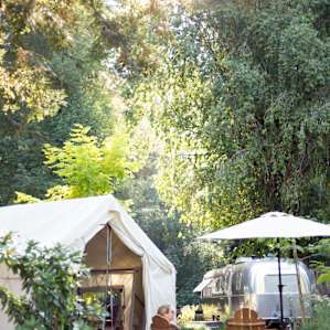 forest people lodging