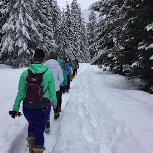 A leisurely walk in the forest of snow capped trees and incredible mountain views.