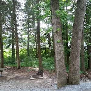 Cane Creek Campground