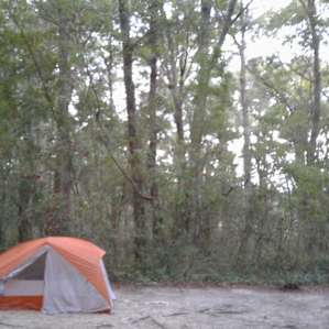 Another view of campsite 74 at Carolina Beach State Park - it rained lightly while I was there and the rain hitting the tent was relaxing and the breeze provided a bit of relief from the humid night. I slept so great!