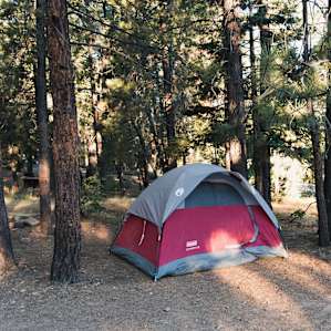 Pineknot Campground