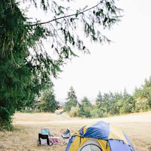 Cozy spot aside the treeline.