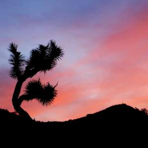 Black Rock Campground