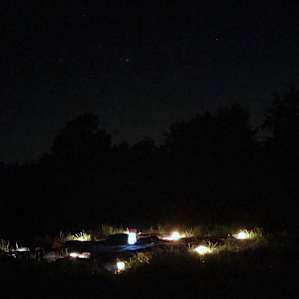 The open field was great for viewing the stars!