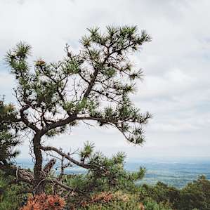 The views from Monument Trail hike.