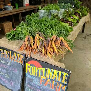 Saturday farm stand