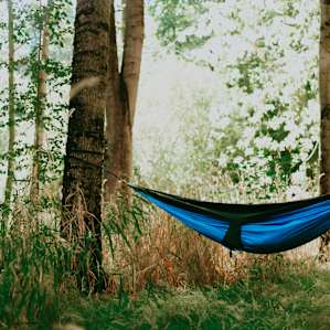 The tree rows on one side of the huge farm are ideal for hammocks and shaded camping!