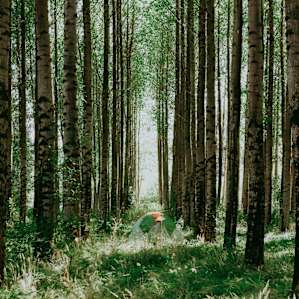 A peaceful, beautiful, and dreamy location to camp!