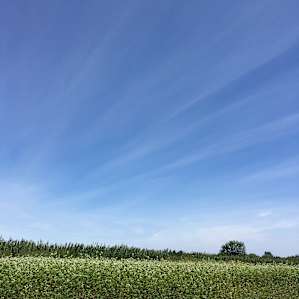 Expansive skies all around the farm.