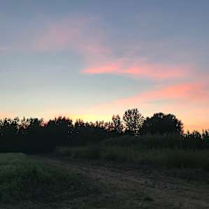 Gorgeous sunsets each night!