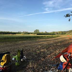 Our camping spot set in the shade of trees with a view of the gardens.