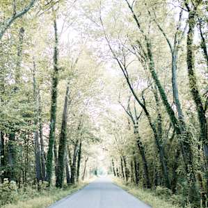 The drive to the Kinkaid spillway, a watering hole in the nearby area