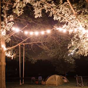 Lights are strung all throughout the trees in the backyard and create a magical ambiance at night