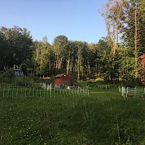 Mackintosh Homestead Experience