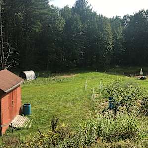 Mackintosh Homestead Experience