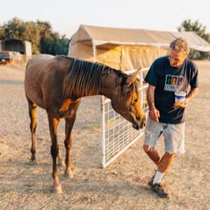 The best thing about this campsite is the host! He is generous and full of amazing stories.