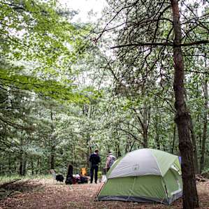 the campsite is in the woods set up on a big hill! Beautiful!