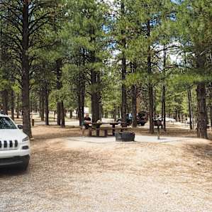 Our spacious campsite for the week