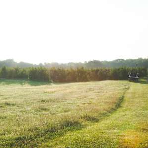 Good morning! This view looking towards the picnic tables.