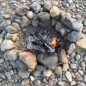 Cedar Bloom Soul Pad