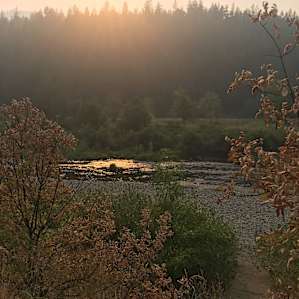 Cedar Bloom Soul Pad
