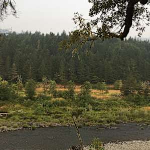 Cedar Bloom Soul Pad
