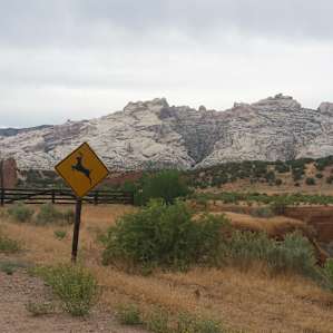 Cub Creek Road just past the entrance to the campground.