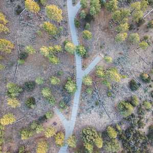 Overhead view of the campground