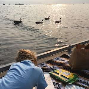 Coloring on the dock.
