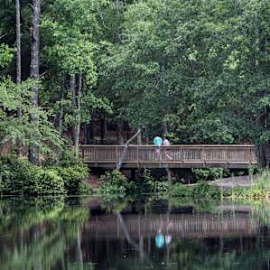 Part of the 2 mile Sandhills Trail that circles the lake