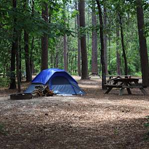 84 campsites with power & water