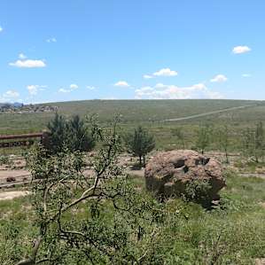 The park has a native plant garden.