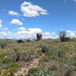 The scenery is incredible here!