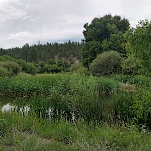 Lake Roberts at the picnic area near the Campground.