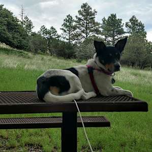 Della thinks this is what picnic tables are for.