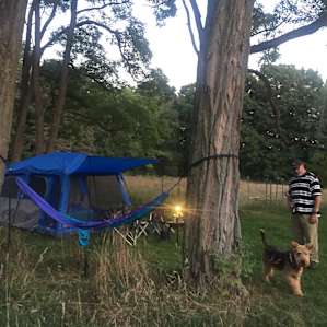 Camp site in the grove