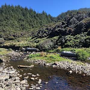 The campsites are next to water. You can follow it out to the beach.