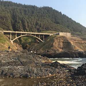 Cape Perpetua Campground