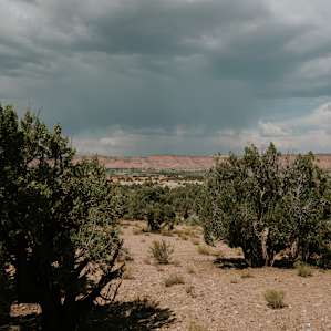 The view from the top of the property