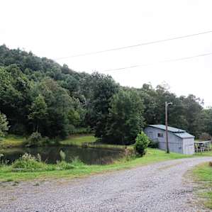 Pretty little lake on the campground (there's also a soda machine near that grey building...)