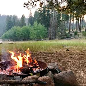 Morning fire and view of quakies.