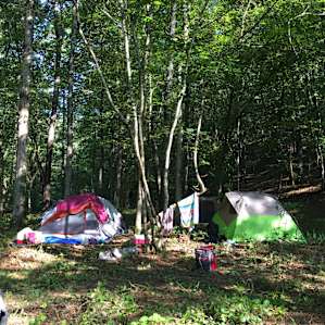 Camp at Parksland Retreat