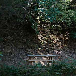 Picnic table across our camp site