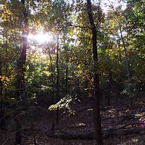 Rocky Branch Campground