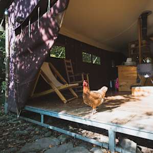 The platform tents at Stony Creek Farmstead are loved by all.