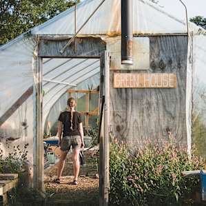 Browse fresh produce in the gardens and green house.