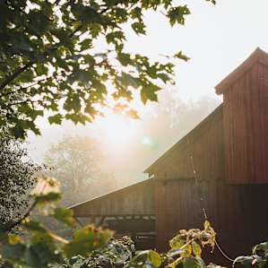 Daybreak on Stony Creek Farmstead is magical.