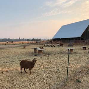 What a cool farm!